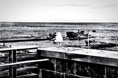 Seagulls perching on wooden post by sea against sky