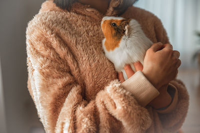 The guinea pig in the girl's arms