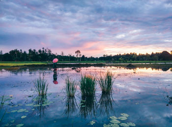 Reflection of trees in lake against sky during sunset