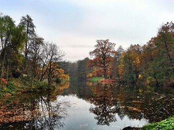 Reflection of trees in lake