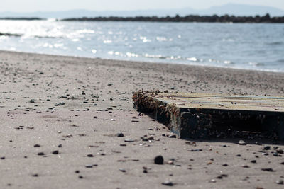Surface level of sea shore