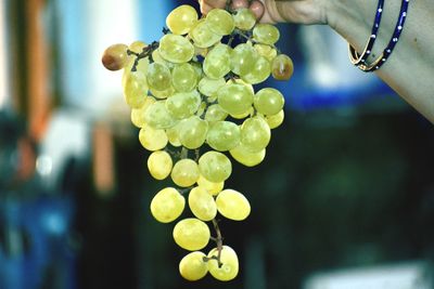 Close-up of hand holding grapes