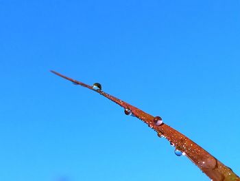 Low angle view of crane against clear blue sky