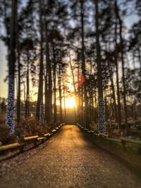 Trees in city against sky