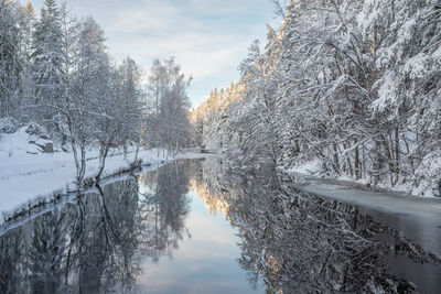 Canal in winter with reflective water