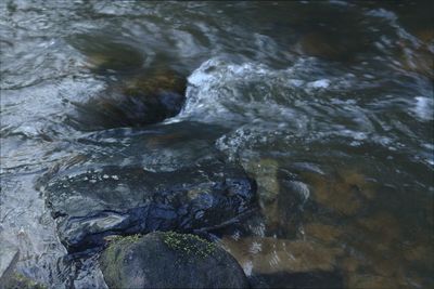 Rocks in sea