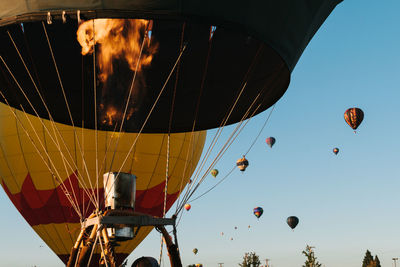 Low angle view of hot air balloons against sky