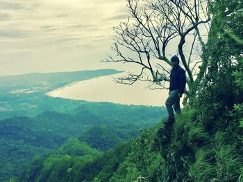 Scenic view of tree on mountain against sky