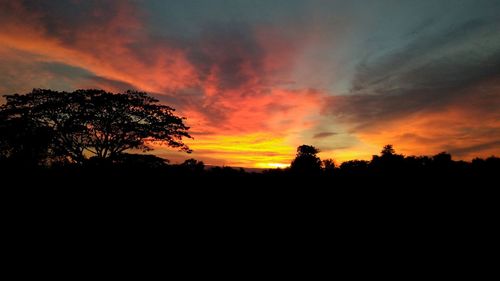 Silhouette trees against sky during sunset