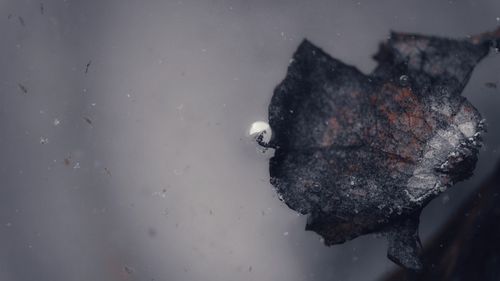 High angle view of snow on lake