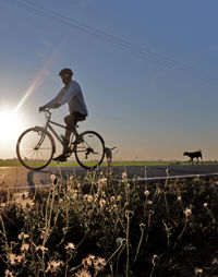 Man riding bicycle on field against sky during sunset