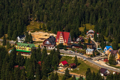 High angle view of trees and buildings