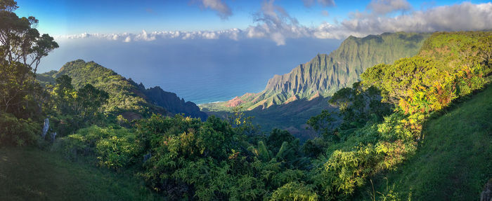 Panoramic view of trees and mountains against sky