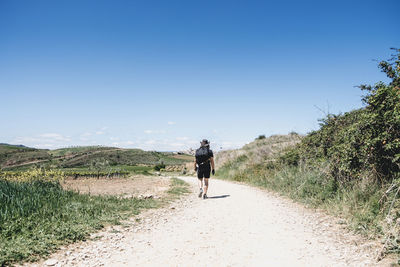 Rear view of man walking on road against clear sky