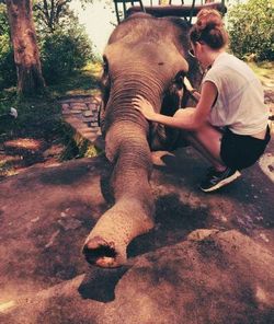 Full length of man sitting on elephant