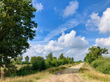 Dirt road along plants and trees against sky