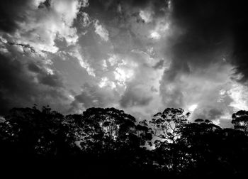 Low angle view of silhouette trees against sky