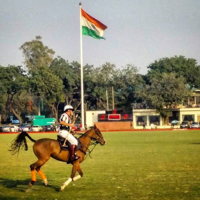 tree, leisure activity, sport, lifestyles, men, transportation, mode of transport, full length, sky, mid-air, flag, extreme sports, skill, fun, childhood, day, enjoyment, playground