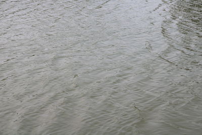 Full frame shot of rippled water