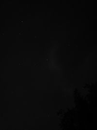 Low angle view of tree against sky at night