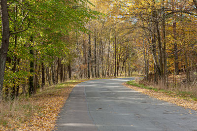 Road amidst trees in forest during autumn