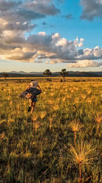 Scenic view of agricultural field against sky during sunset