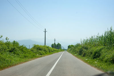 Road amidst plants and trees against sky