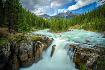 Scenic view of waterfall in forest