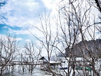 Low angle view of bare trees against sky