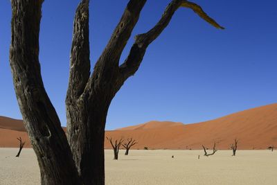 Scenic view of desert against clear blue sky