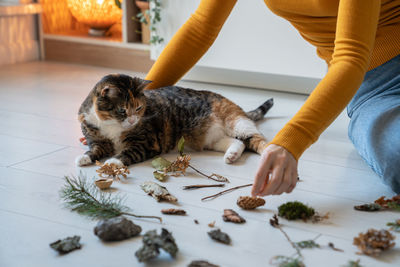 Low section of woman holding cat