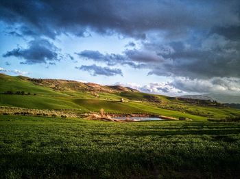 Scenic view of field against sky