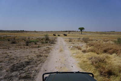 Dirt road on field against clear sky