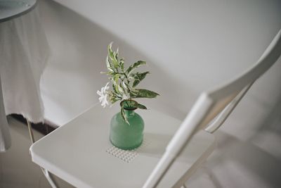 High angle view of potted plant on table at home