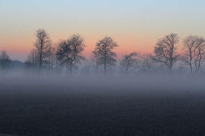 Bare trees on landscape against sky during sunset