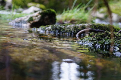 Surface level of small stream