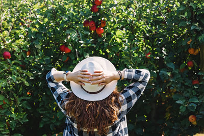 Woman in a hat looking on the tree with red ripe apples, countryside lifestyle person