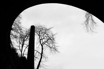 Low angle view of bare tree against sky