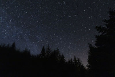 Low angle view of silhouette trees against sky at night