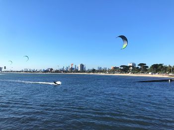 Birds flying over sea against clear sky