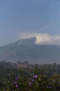 Scenic view of purple mountains against sky