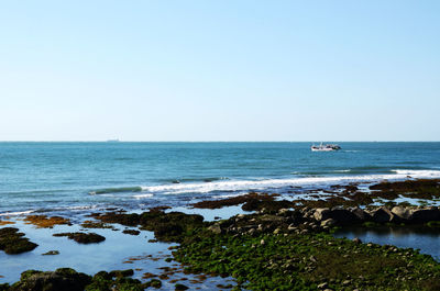 Scenic view of sea against clear sky