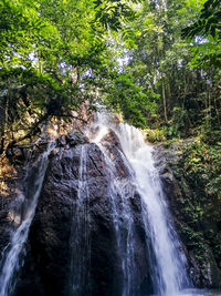 View of waterfall in forest