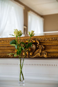 Close-up of potted plant on table at home