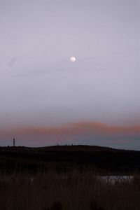 Scenic view of field against sky at sunset