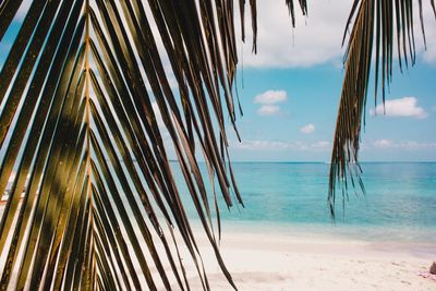 Panoramic view of beach against sky