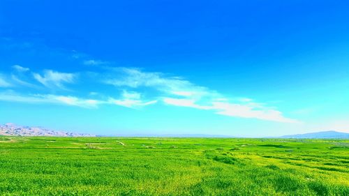 Scenic view of field against cloudy sky