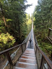 Woman walking on footbridge amidst trees in forest