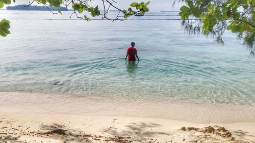 Rear view of man on beach