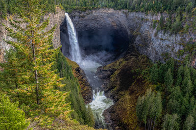 View of waterfall in forest